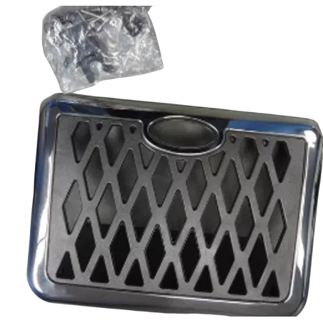 Panneau d'écumoire skimmer Coast spa  CC5503579-GMB
