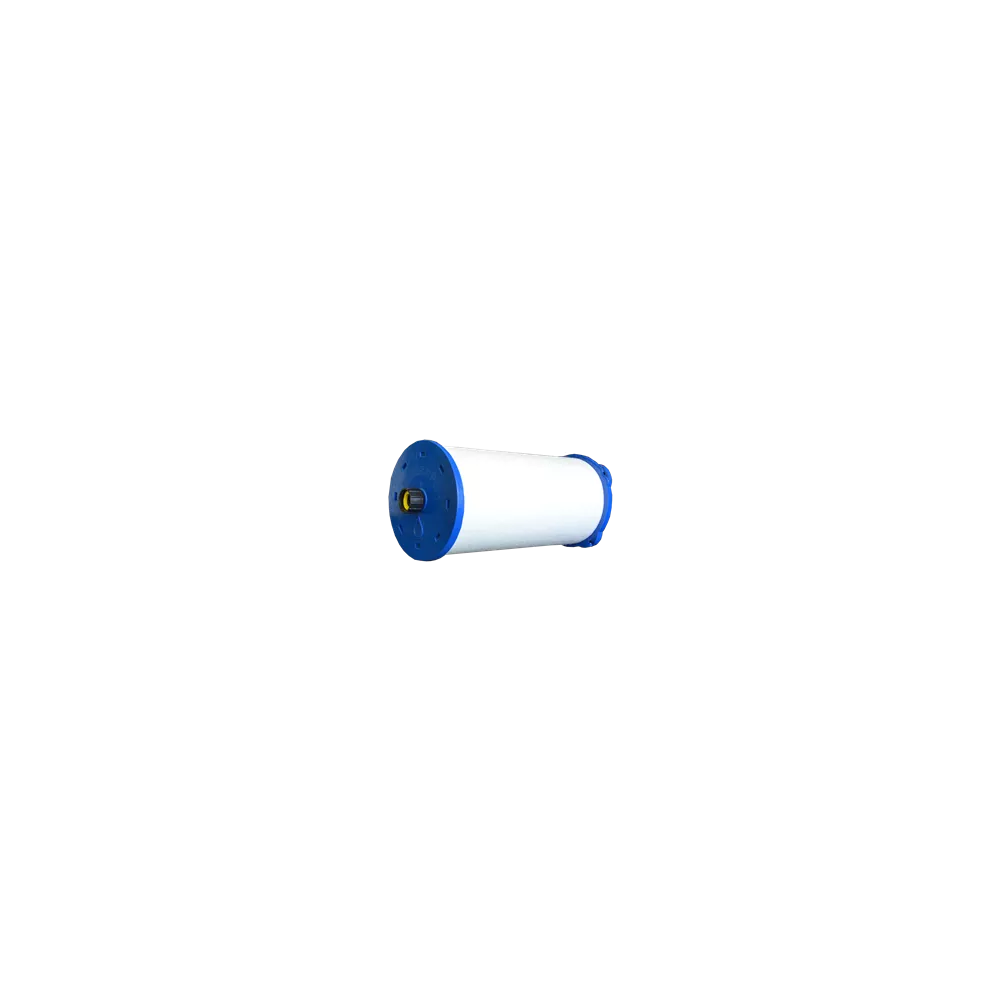 PPS6120 / FC-3129 / cartouche de remplissage spa/piscine Cette cart...