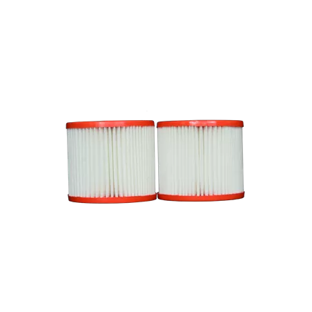 PBW4PAIR - C-4313 - FC-3753 pour filtre Intex Cartouche filtrante p...