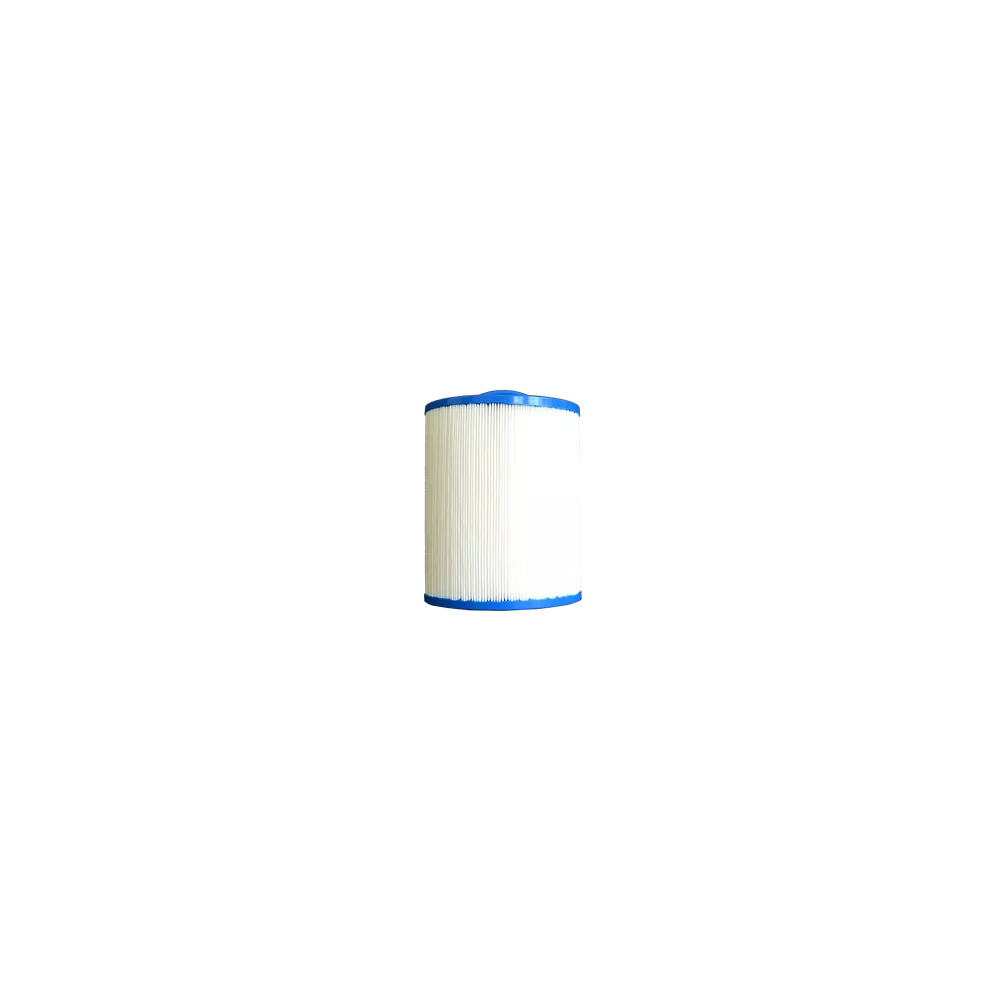 PTL25W-XP4 - Cartouche filtrante Filtre compatible avec les Spas At...