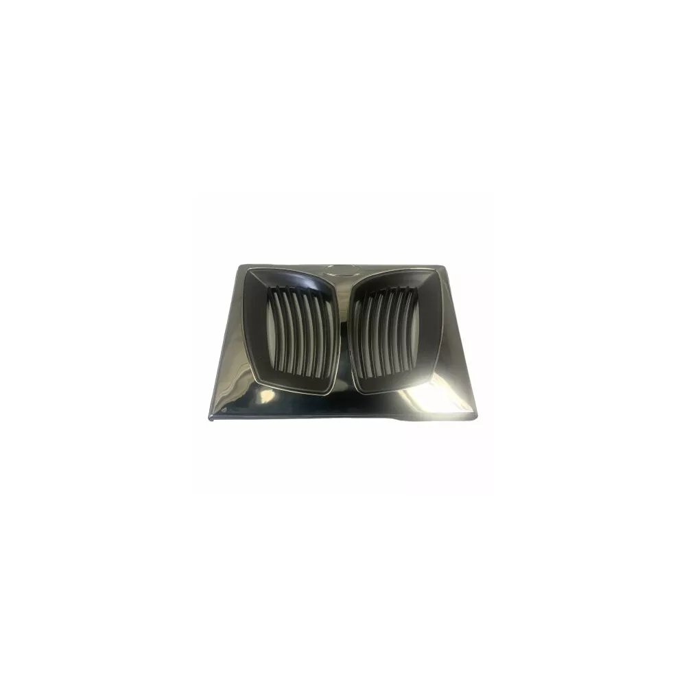 Cache pour skimmer filtre - Coast Spa Trappe/grille de filtre avec ...