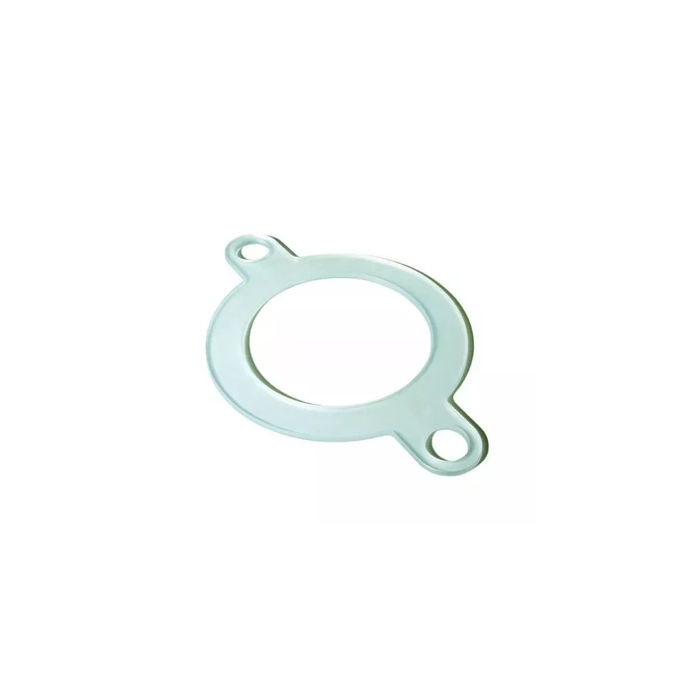 FLAT GASKET D40
