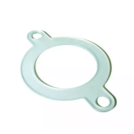 Flat gasket D32