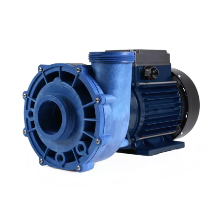 Flo-Master XP2 2.0HP Mono-vitesse La toute première pompe offerte p...