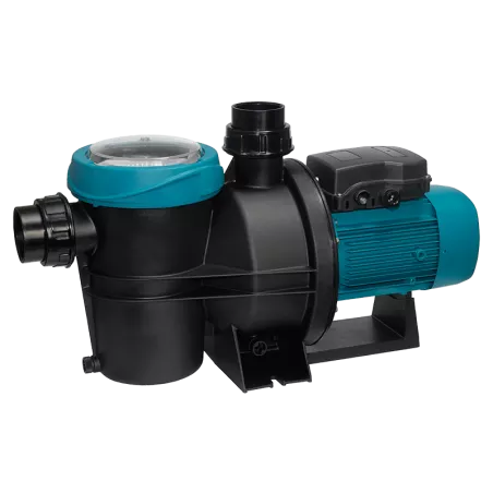 SILEN S2 150 29 T - Pompe avec pré-filtre Pompe Auto-amorçante 4 mè...