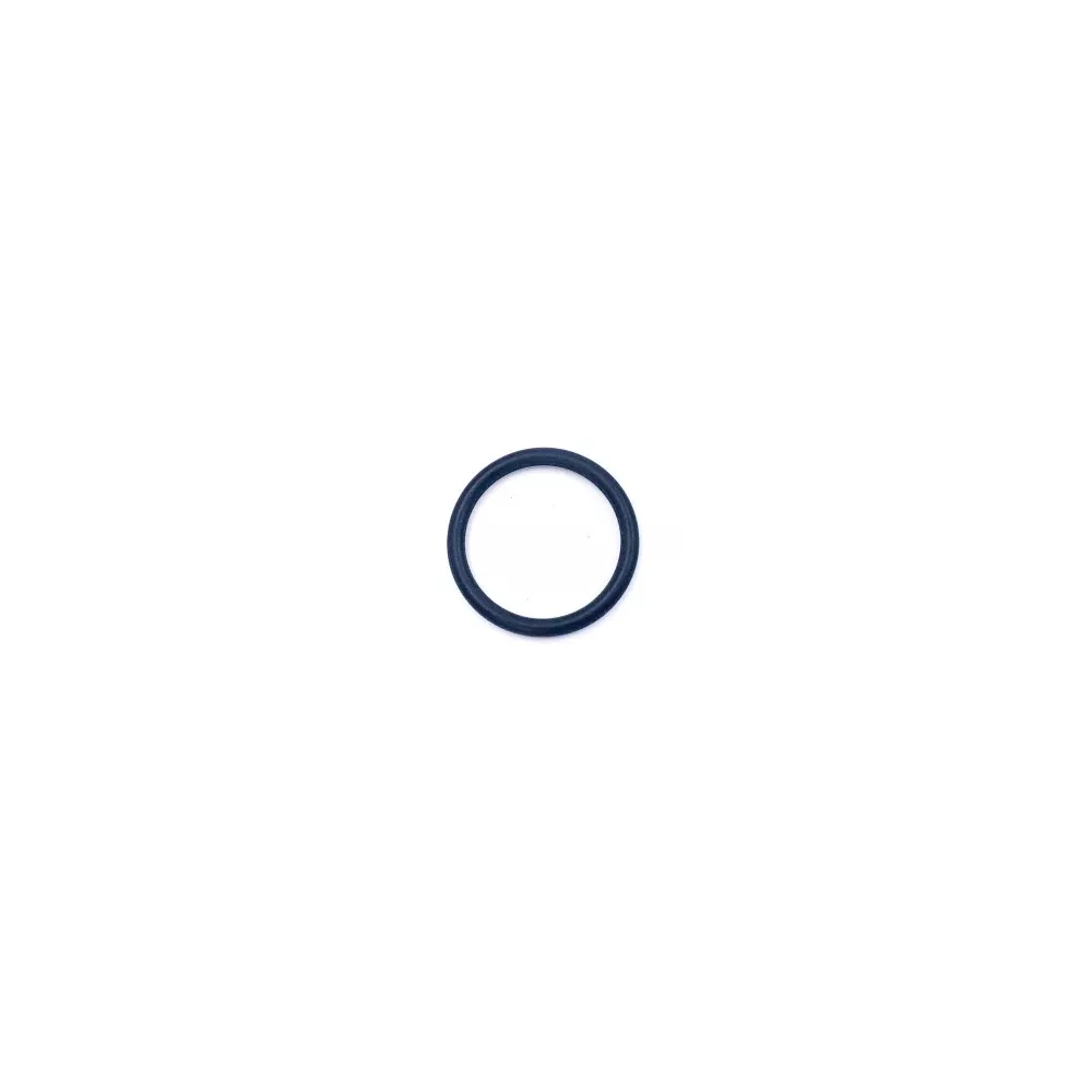 Jesco O-Ring für Chlorsonde für Analyt