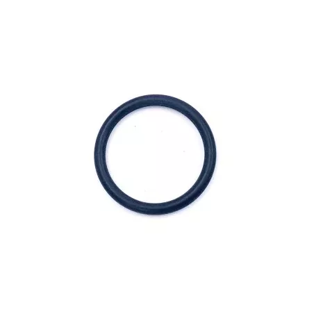 Jesco O-Ring pour sonde de chlore pour Analyt Diamètre intérieur: 2...