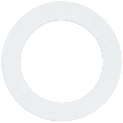 R172222Z Pentair Gasket, Rainbow