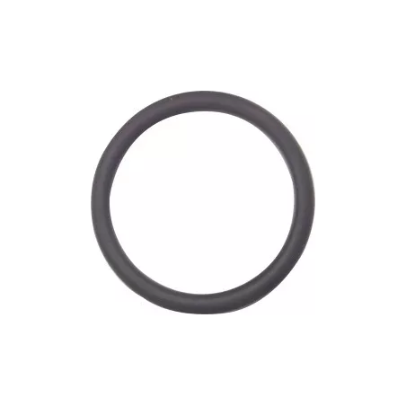 GF O-ring pour robinet 542 d 32mm  096-184