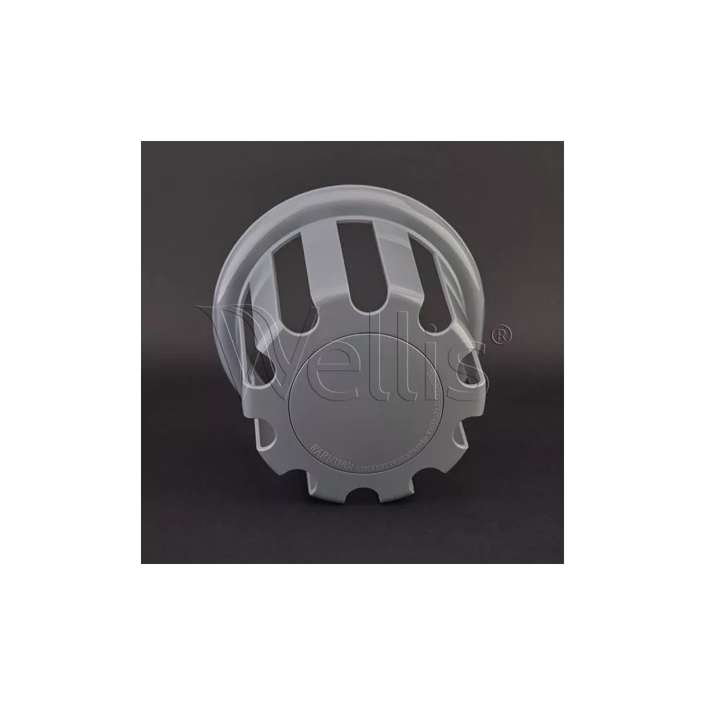 Protective grille for swimming filters