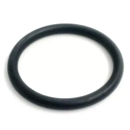 Apic F10 Perbunan Dichtung für Filtergehäuse
