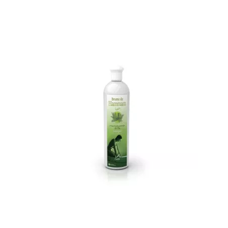 Pin - Brume de Hammam - Camylle