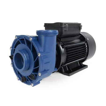 Pompe MS-1 : 2.5hp LE – 2 vitesses   0800-290001