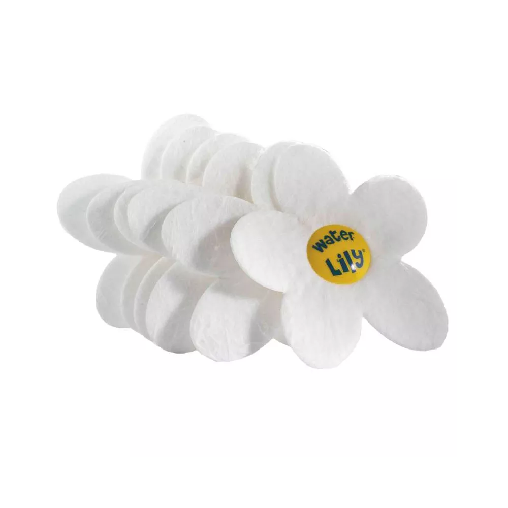 Water Lily absorbant corps gras résidus de la pollution atmosphérique