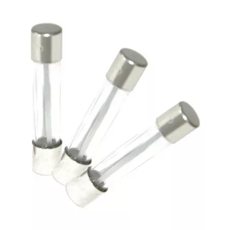 Fusible 10 ampères /250V