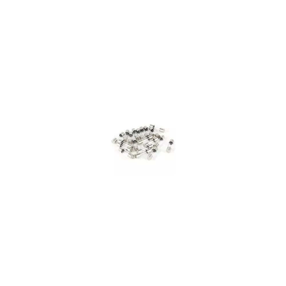 Fusible 2 A pour ozonateur, pompe de circ et MSPA CE