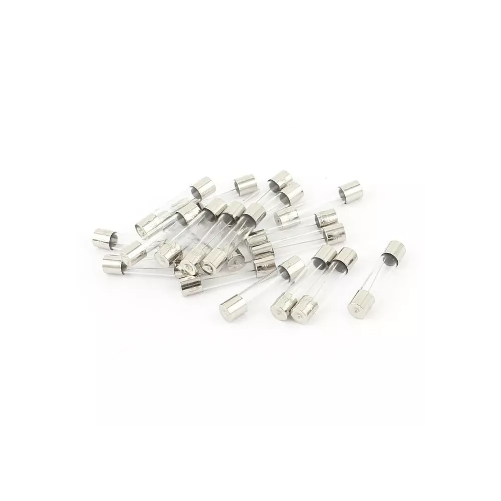 Fusible 2 A pour ozonateur, pompe de circ et MSPA CE