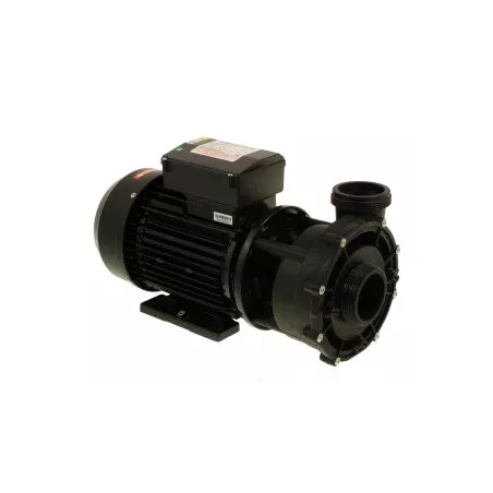 LX WP300-II Pumpe, zwei Geschwindigkeiten, 3,0 PS