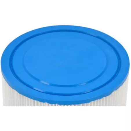 SC784 filtre de remplacement soft Tub (après 2010)