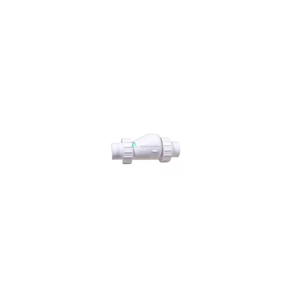 Clapet anti retour 1" Union x 1" Union