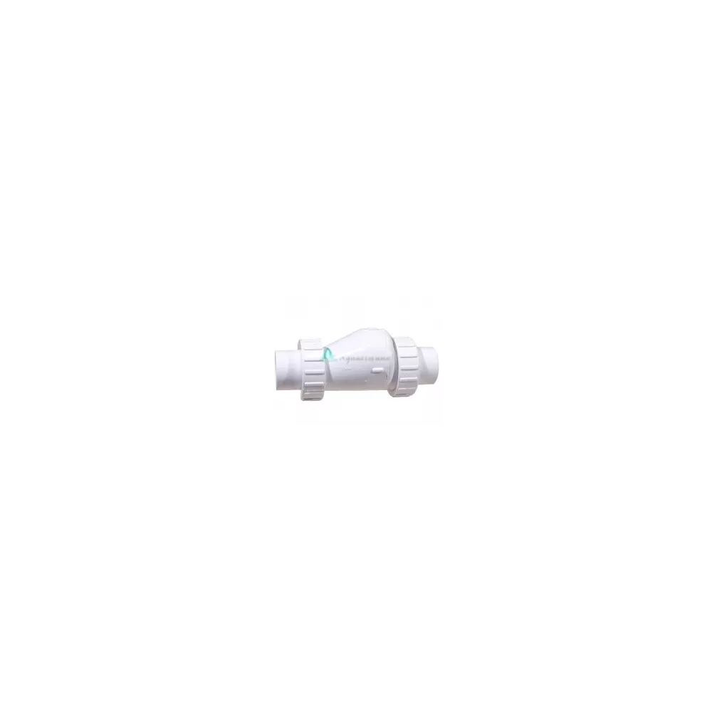 Clapet anti retour 1" Union x 1" Union