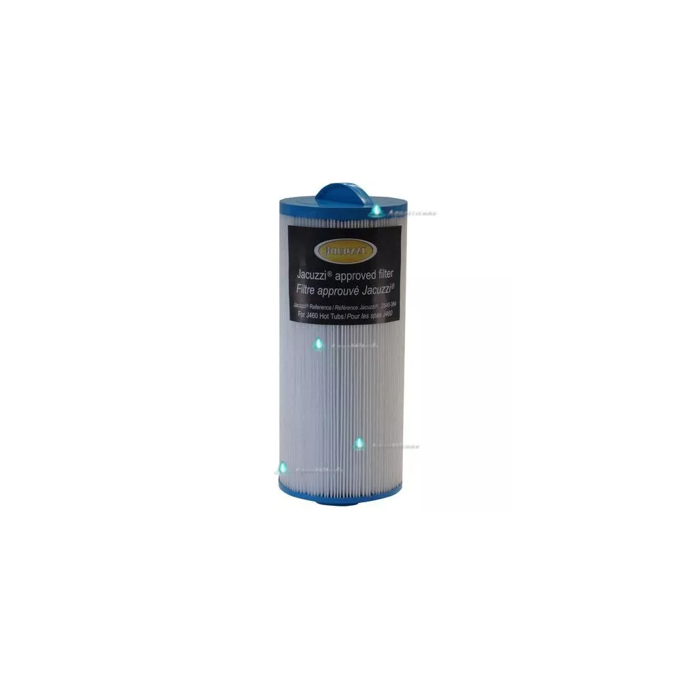 2000498 filtre pour spa  Jacuzzi® j460 (Grand)