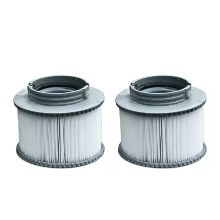 B0301964 - MSpa filtre