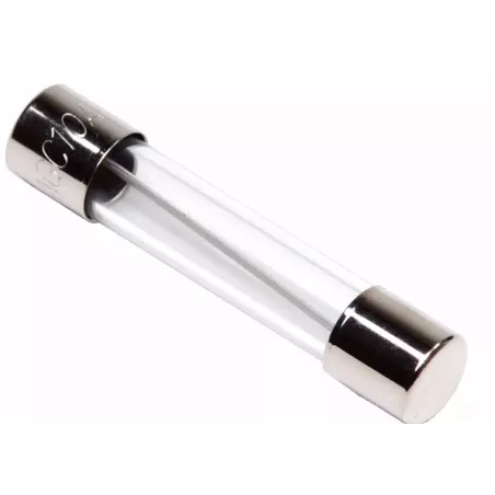 Fusible 2A 250 V
