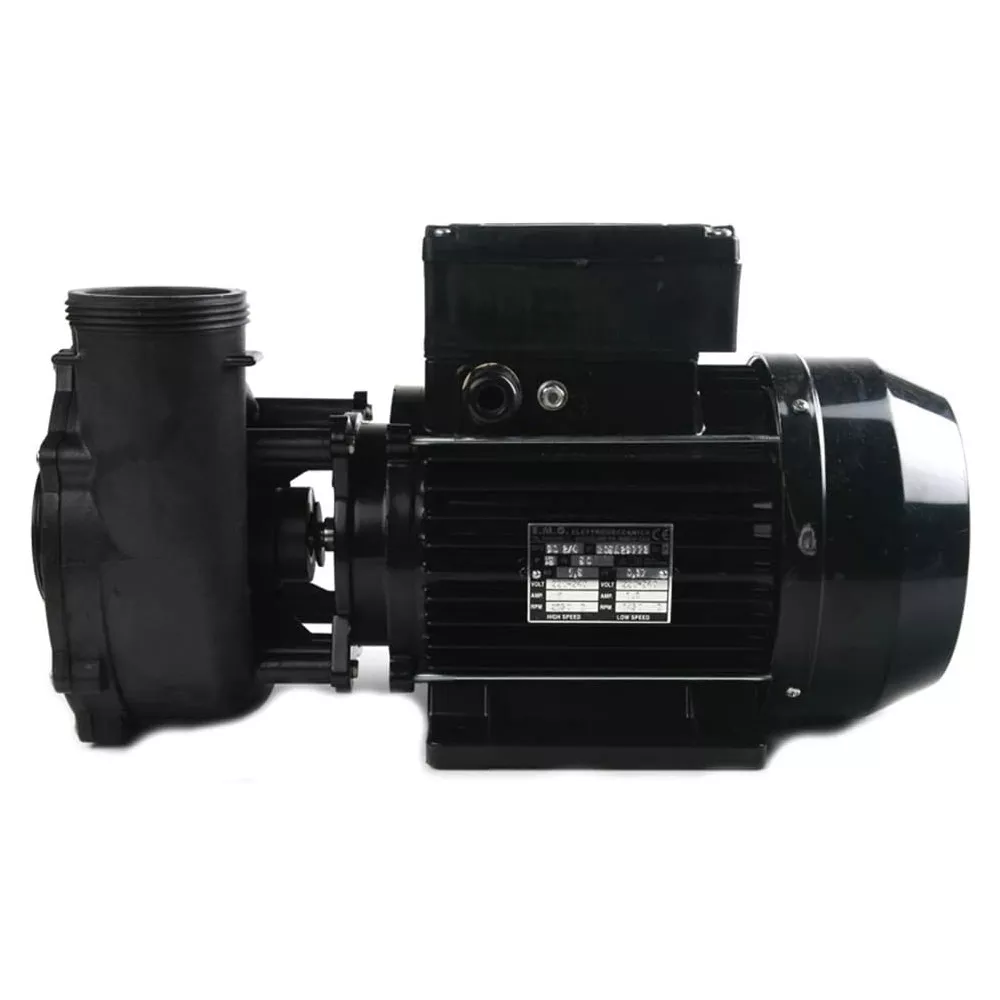 Pompe Watereway Euro Viper 5HP