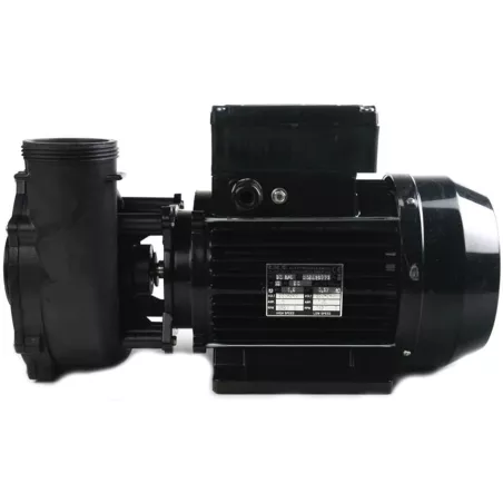 Pompe Euro Viper mono-vitesse Waterway Cette pompe de massage puiss...