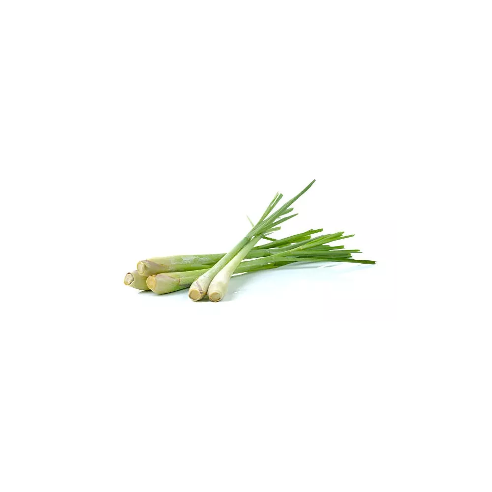Lemon Grass - concentré de parfum pour sauna  Ce concentré de citro...