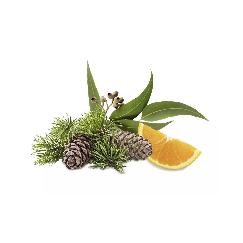 Cedre /Eucalyptus/ Orange - concentré de parfum pour sauna