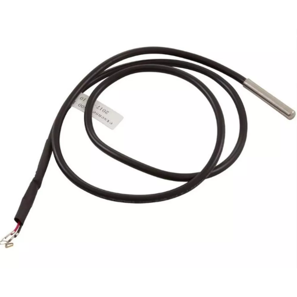 Sonde de température Sundance - Jacuzzi