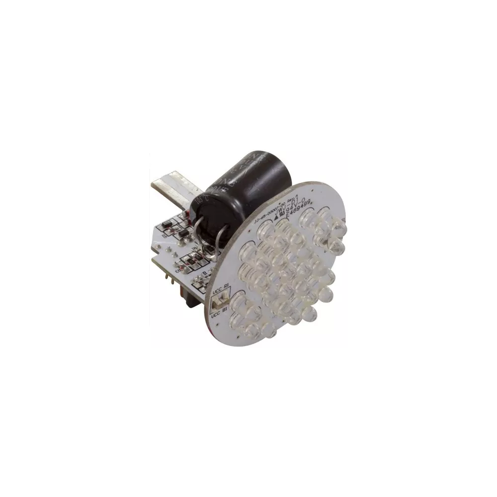 ColorGlo 24 Ampoule LED Raydiance LSL24-1