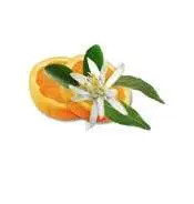 fleurs d'oranger aromathérapie
